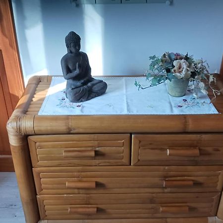 A La Joie De Vivre Chez L'Habitant Banat Bagian luar foto