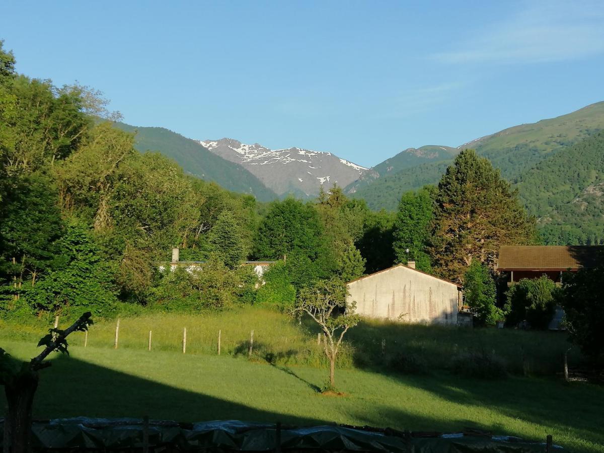 A La Joie De Vivre Chez L'Habitant Banat Bagian luar foto